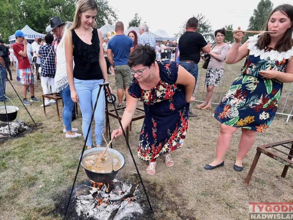 Furmanki, bryczki i powozy królowały w... Furmanach [Zdjęcia]