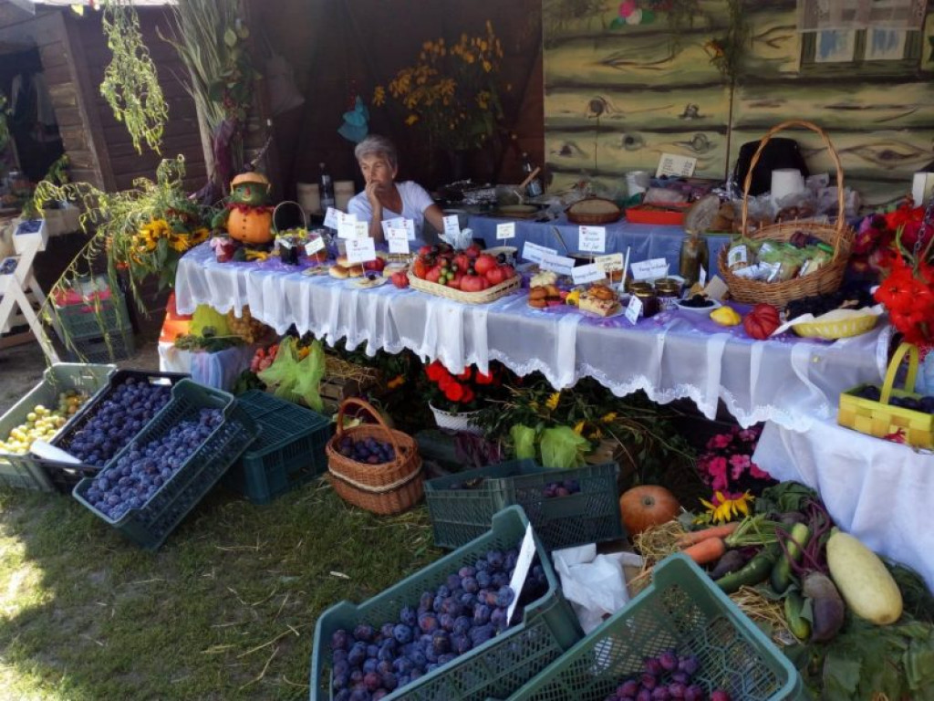 Trwa Święto Śliwki w Szydłowie [zdjęcia]