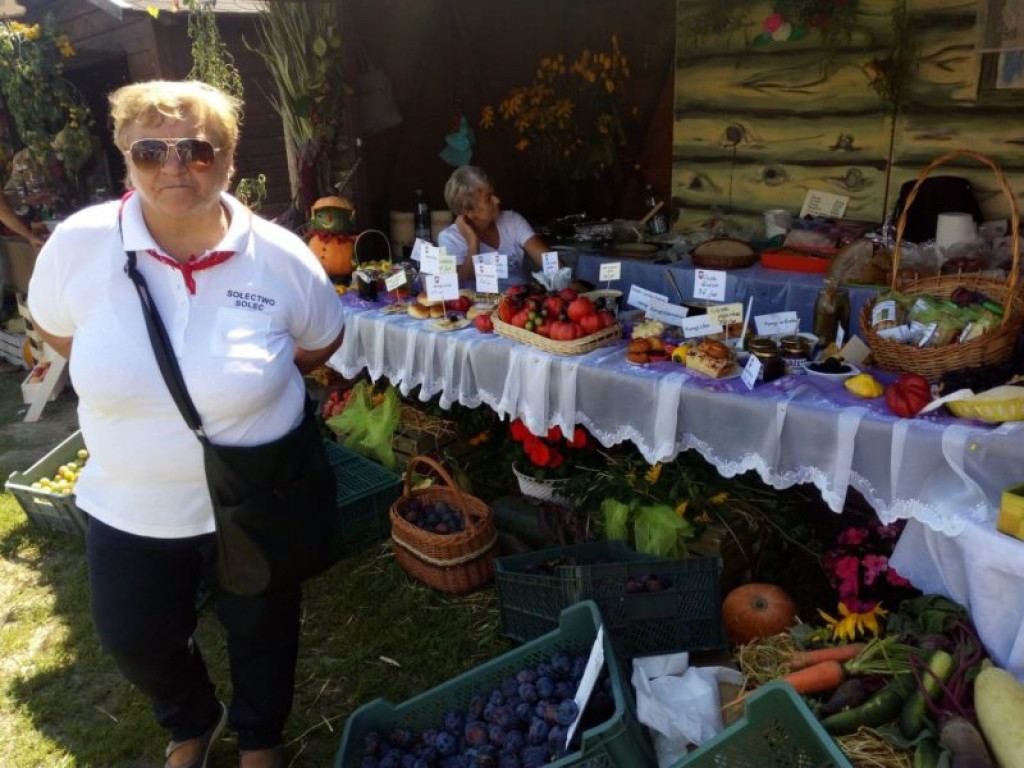 Trwa Święto Śliwki w Szydłowie [zdjęcia]