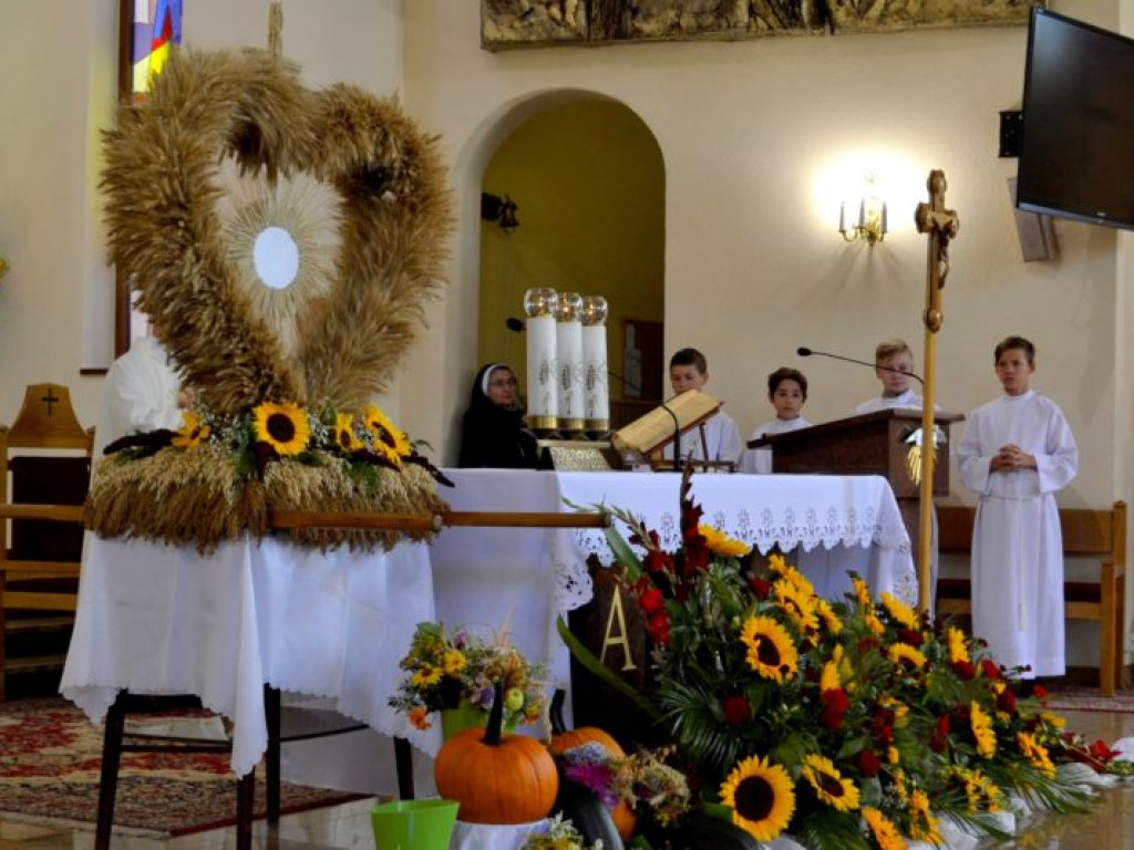 Święto Chleba w tarnobrzeskim Mokrzyszowie (galeria)