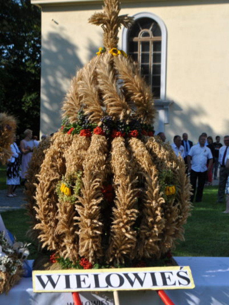 Tarnobrzeskie dożynki przed zamkiem (zdjęcia)