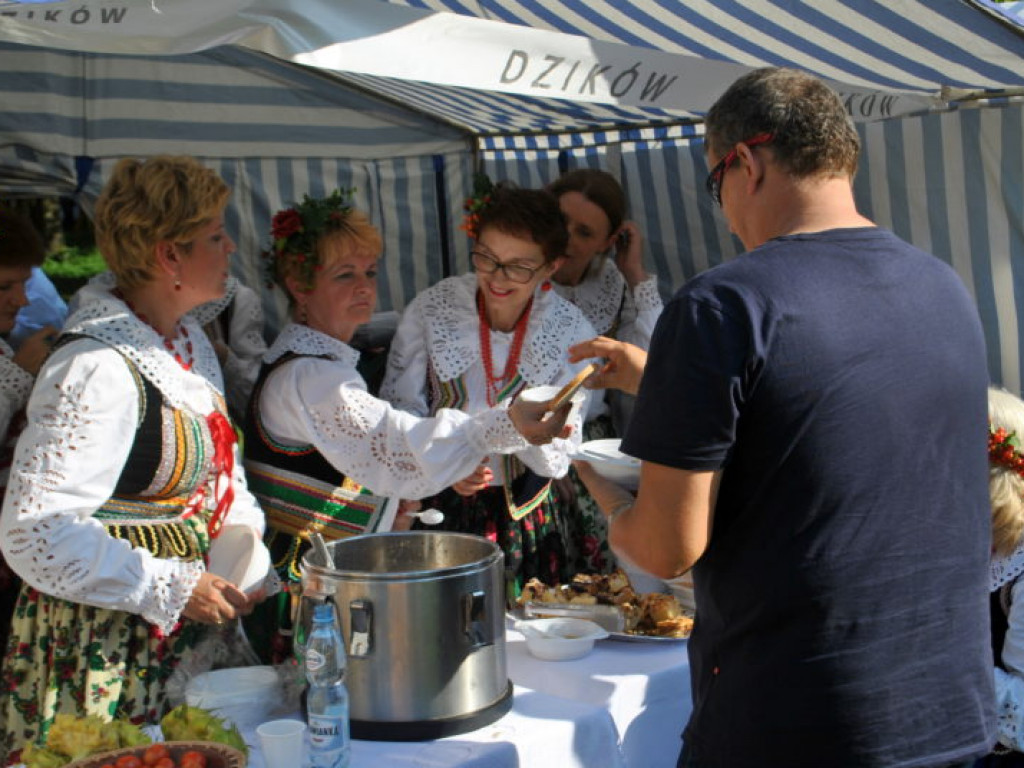 Tarnobrzeskie dożynki przed zamkiem (zdjęcia)