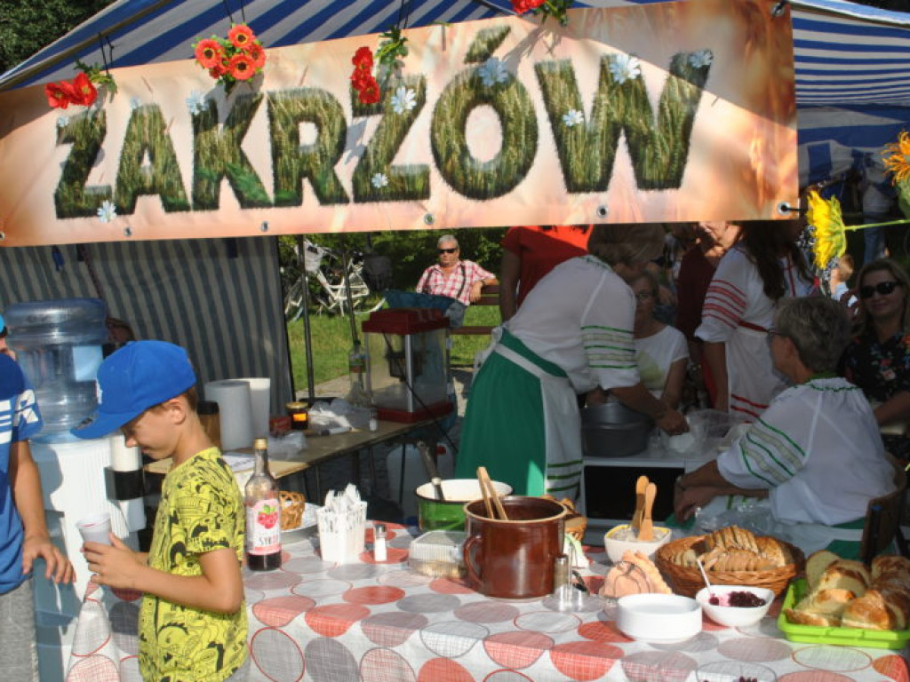 Tarnobrzeskie dożynki przed zamkiem (zdjęcia)