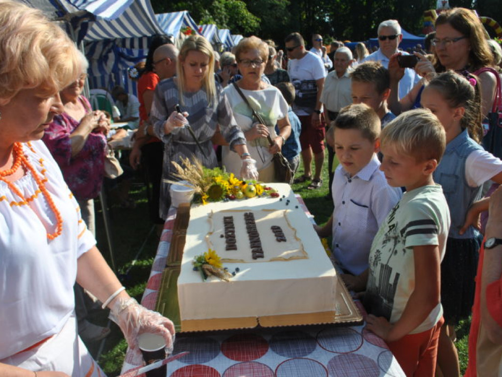 Tarnobrzeskie dożynki przed zamkiem (zdjęcia)