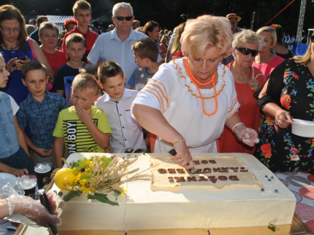 Tarnobrzeskie dożynki przed zamkiem (zdjęcia)