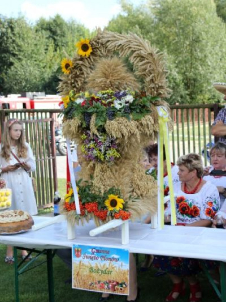 Dożynkowe świętowanie w Dwikozach [zdjęcia]