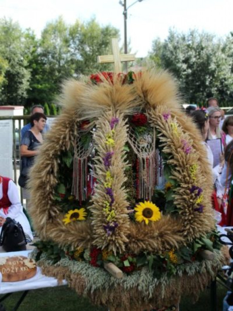 Dożynkowe świętowanie w Dwikozach [zdjęcia]