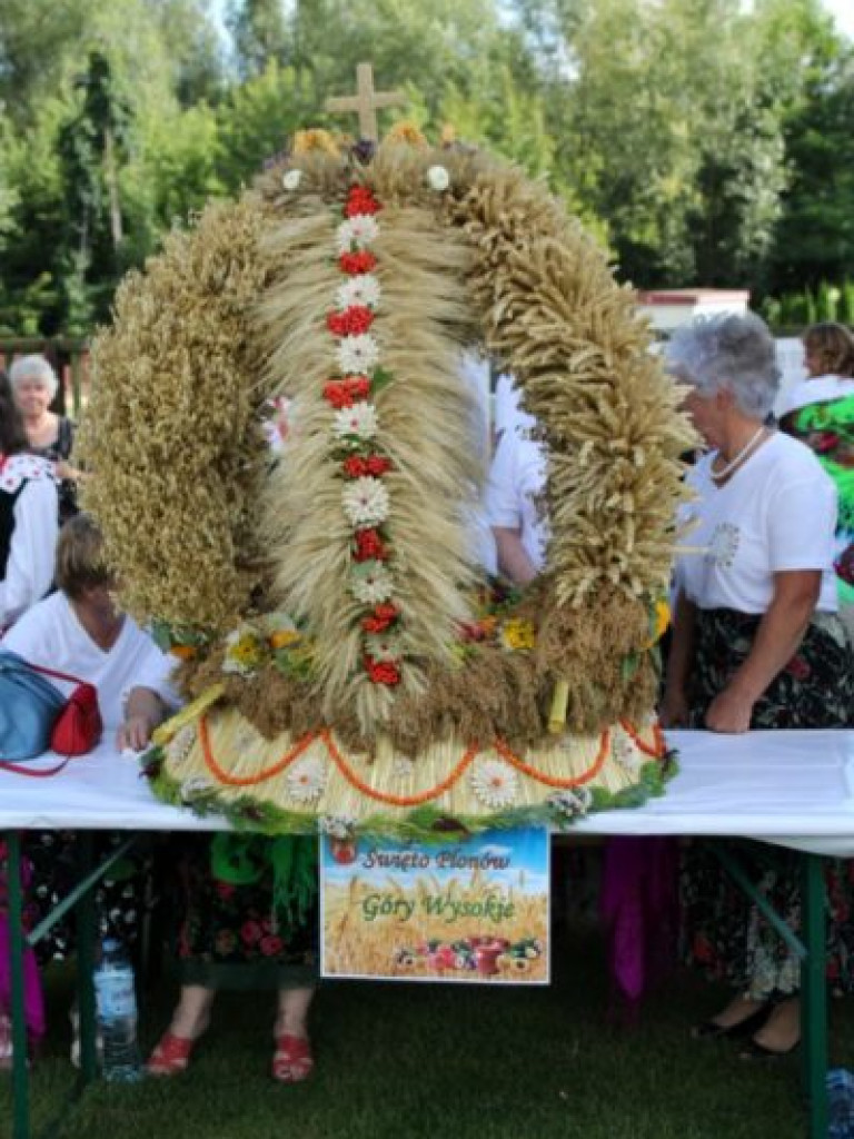 Dożynkowe świętowanie w Dwikozach [zdjęcia]