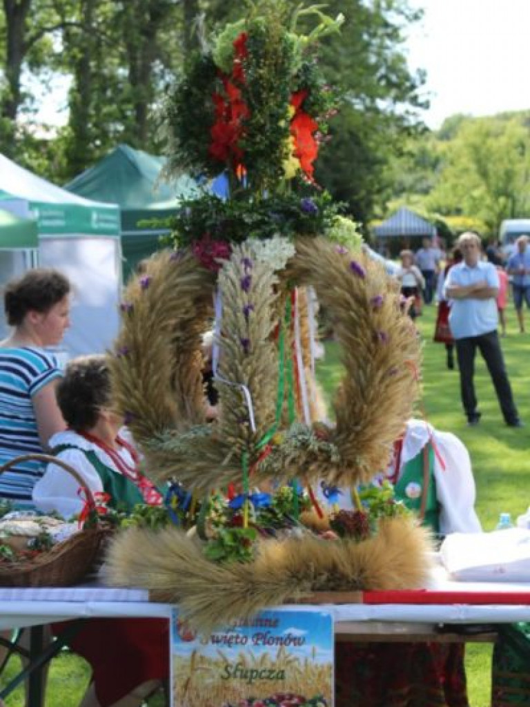Dożynkowe świętowanie w Dwikozach [zdjęcia]