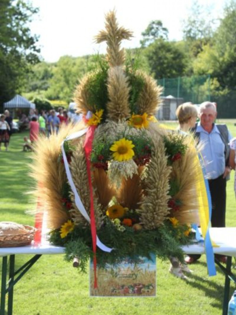 Dożynkowe świętowanie w Dwikozach [zdjęcia]