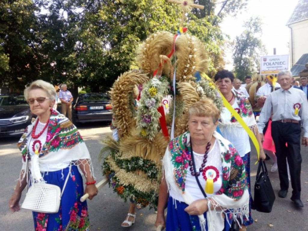 W Bogorii trwają dożynki powiatu staszowskiego [zdjęcia]