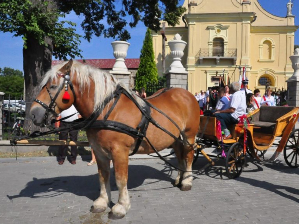 Mieszkańcy powiatu sandomierskiego podziękowali za plony [zdjęcia]