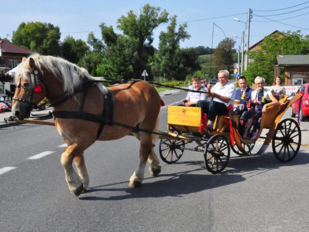 Mieszkańcy powiatu sandomierskiego podziękowali za plony [zdjęcia]