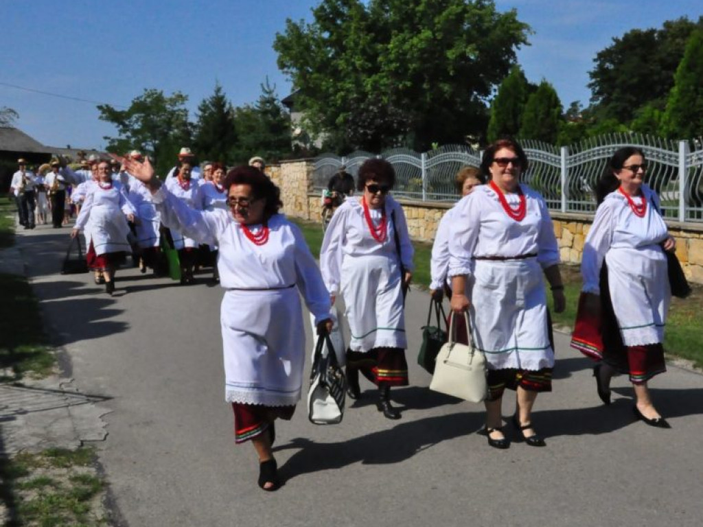 Mieszkańcy powiatu sandomierskiego podziękowali za plony [zdjęcia]
