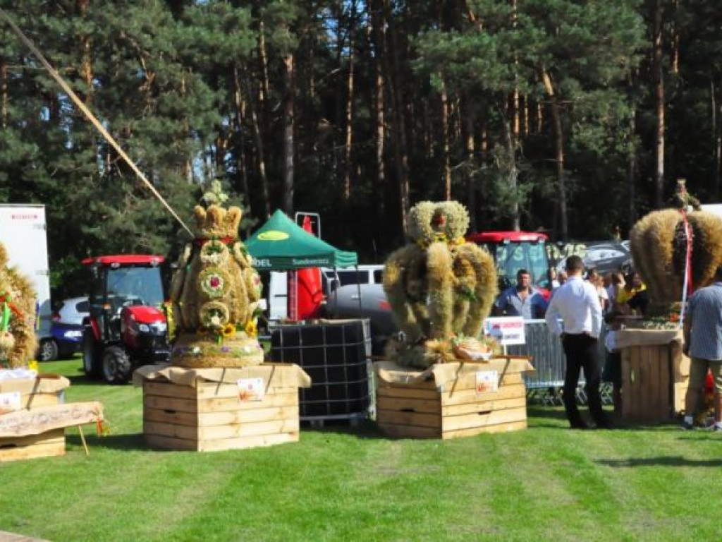 Mieszkańcy powiatu sandomierskiego podziękowali za plony [zdjęcia]