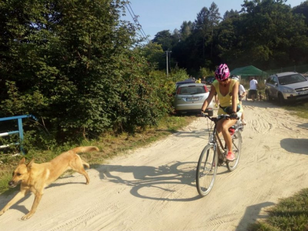 Rajd Tour de Kologne. Padł rekord frekwencji [zdjęcia]