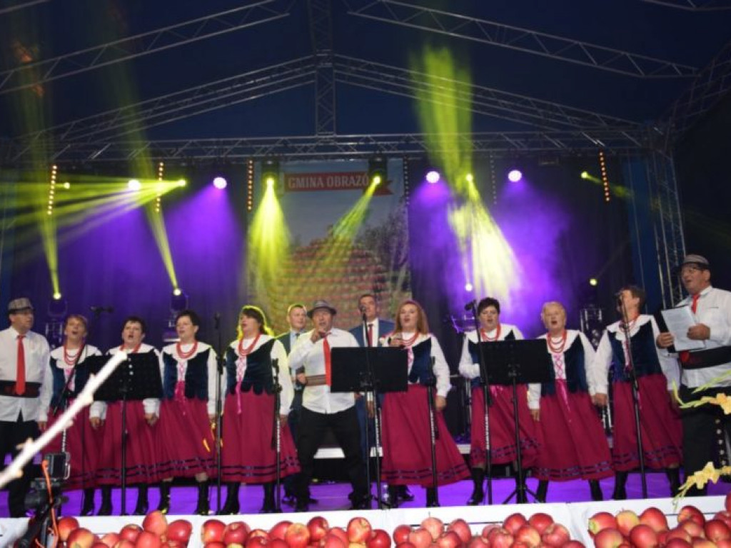 Jabłkobranie w Obrazowie [zdjęcia]