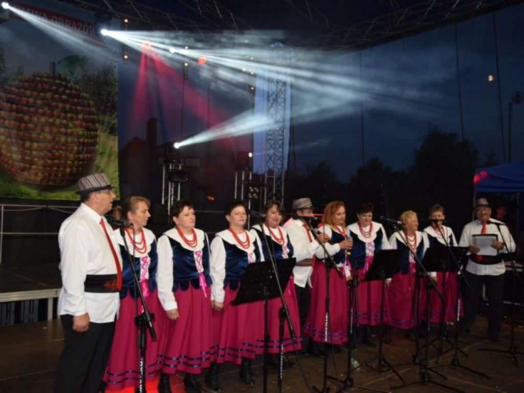 Jabłkobranie w Obrazowie [zdjęcia]