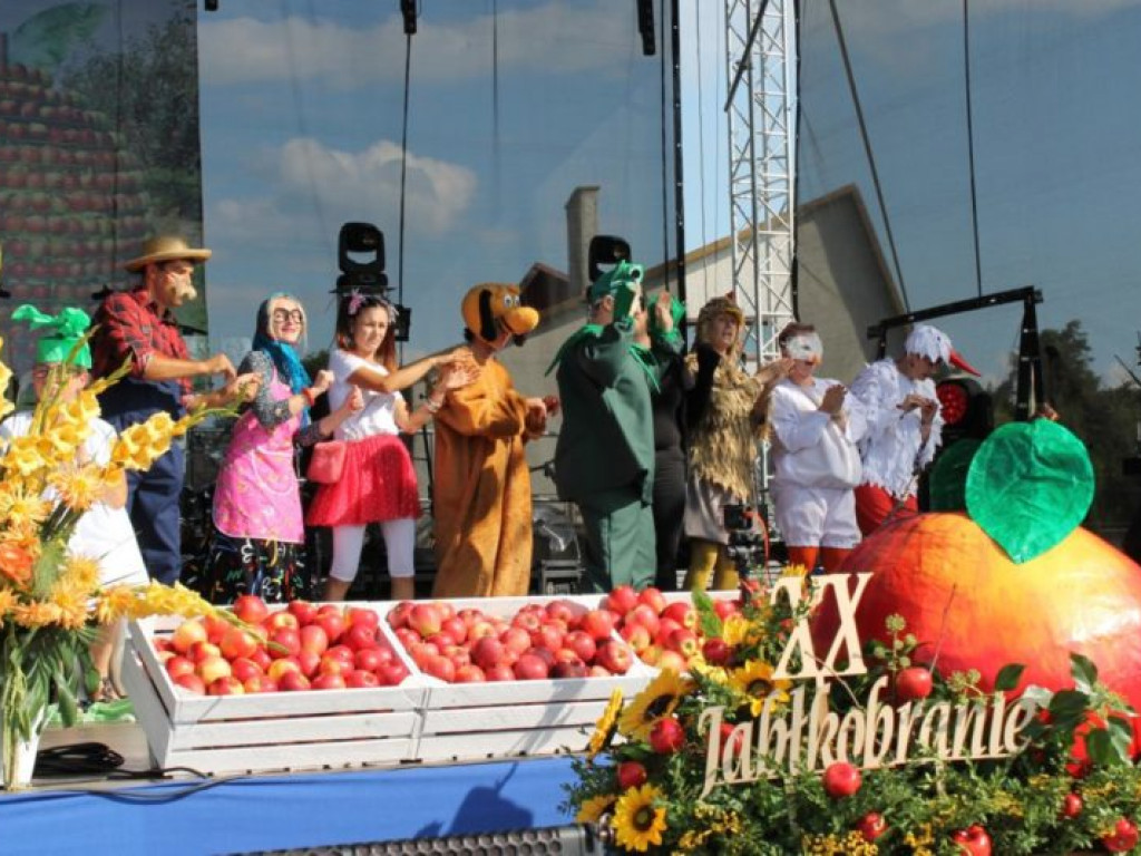 Jabłkobranie w Obrazowie [zdjęcia]