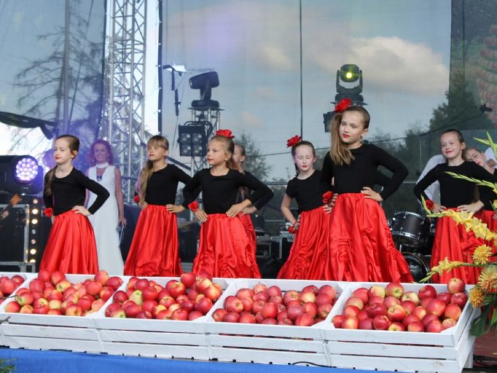Jabłkobranie w Obrazowie [zdjęcia]