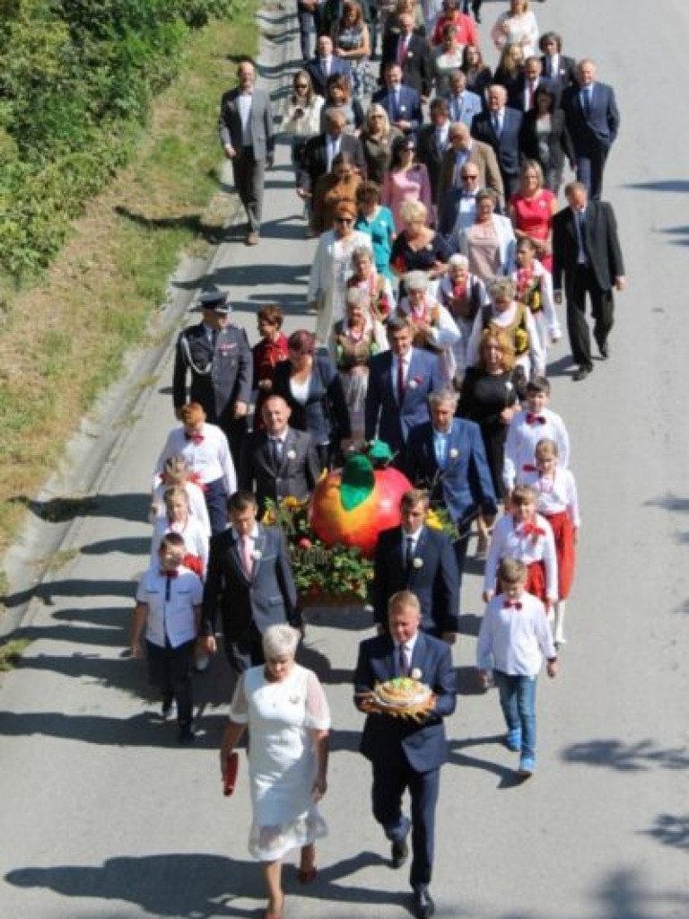 Jabłkobranie w Obrazowie [zdjęcia]