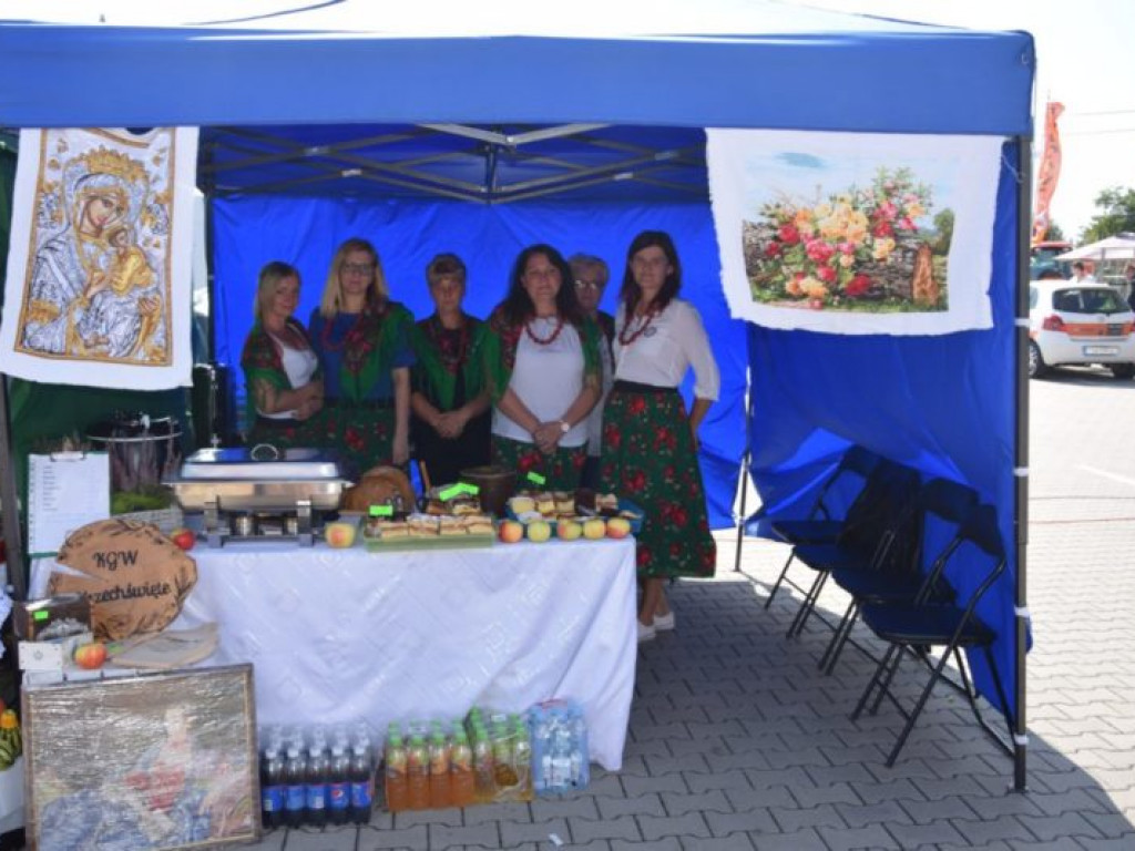 Jabłkobranie w Obrazowie [zdjęcia]