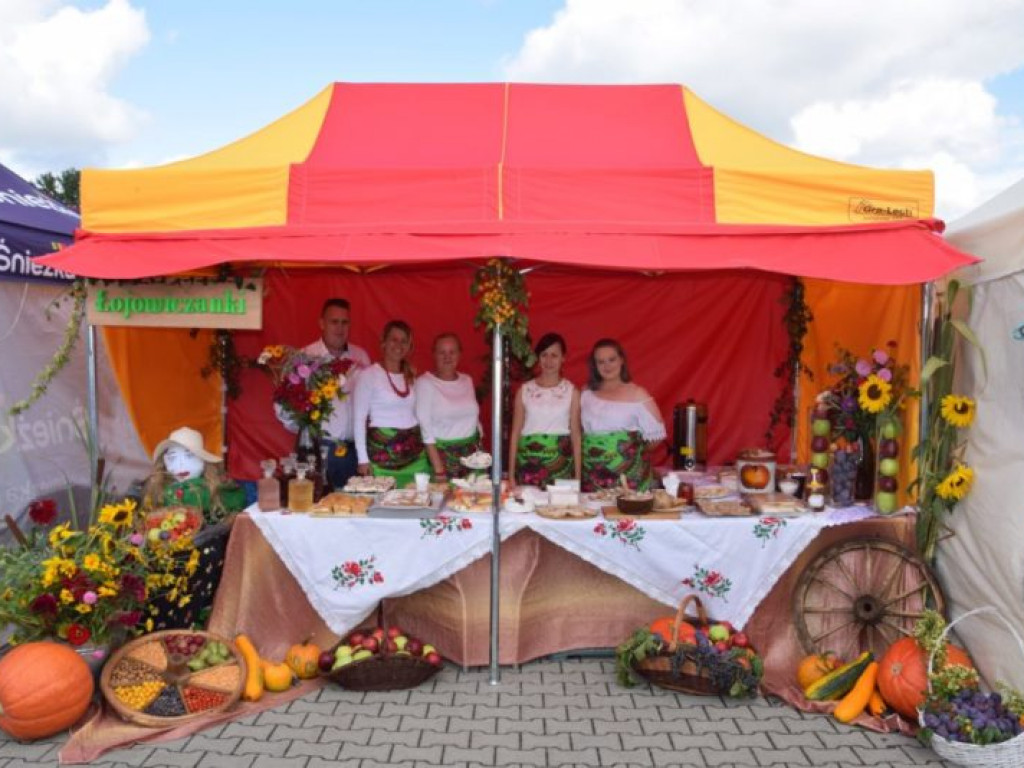Jabłkobranie w Obrazowie [zdjęcia]