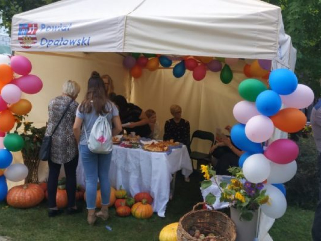 Wojewódzkie Dożynki w Opatowie [zdjęcia]