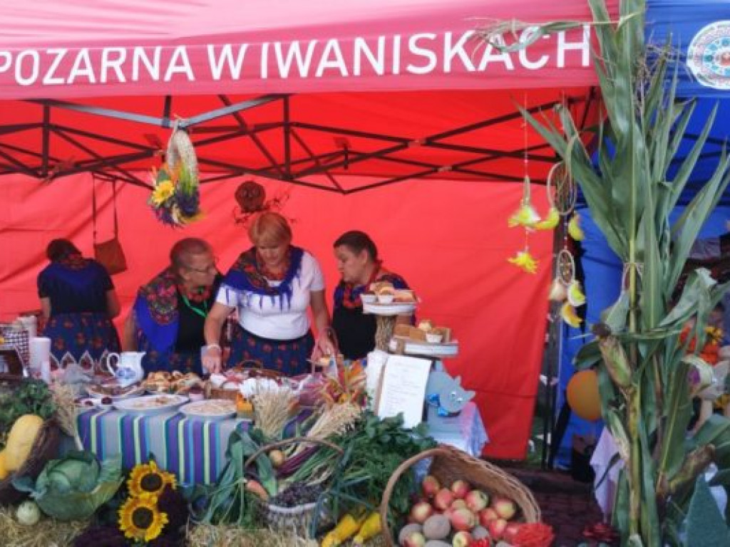 Wojewódzkie Dożynki w Opatowie [zdjęcia]