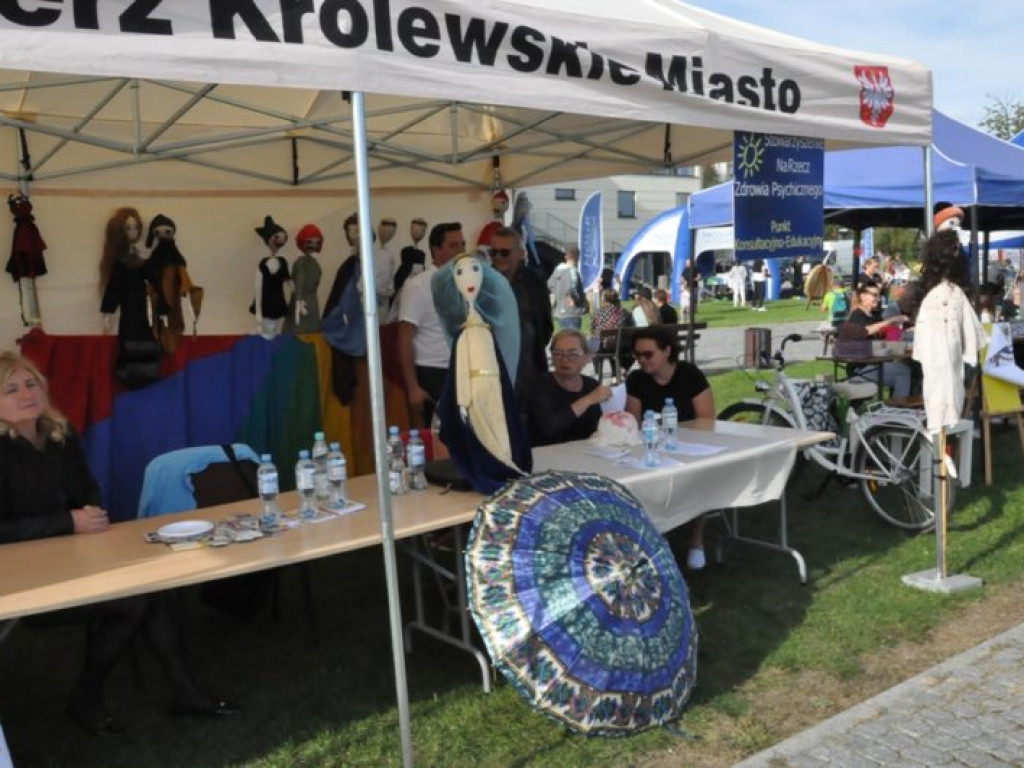 Organizacje pozarządowe na festiwalu [zdjęcia]