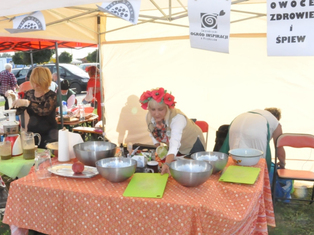 Organizacje pozarządowe na festiwalu [zdjęcia]