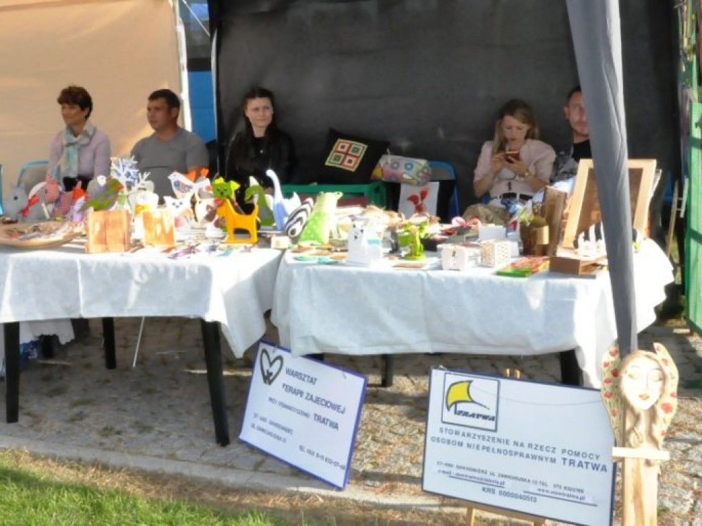 Organizacje pozarządowe na festiwalu [zdjęcia]