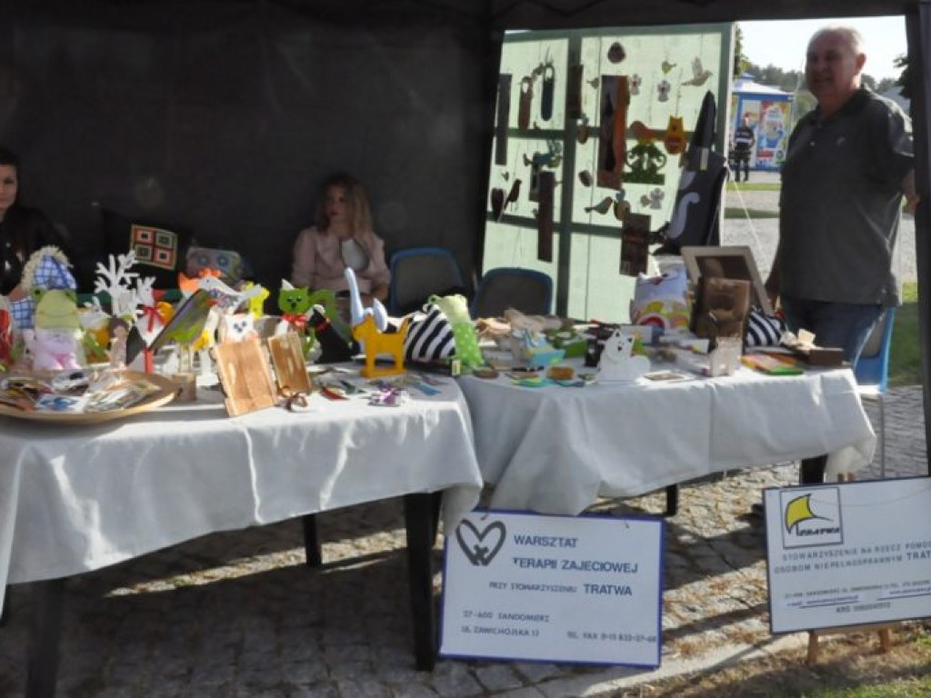 Organizacje pozarządowe na festiwalu [zdjęcia]