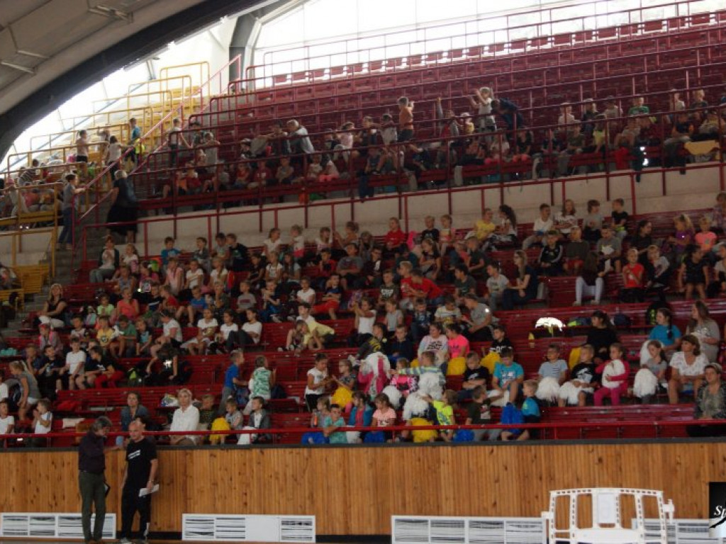 Stalowowolskie Dni Sportu 2019 [zdjęcia]