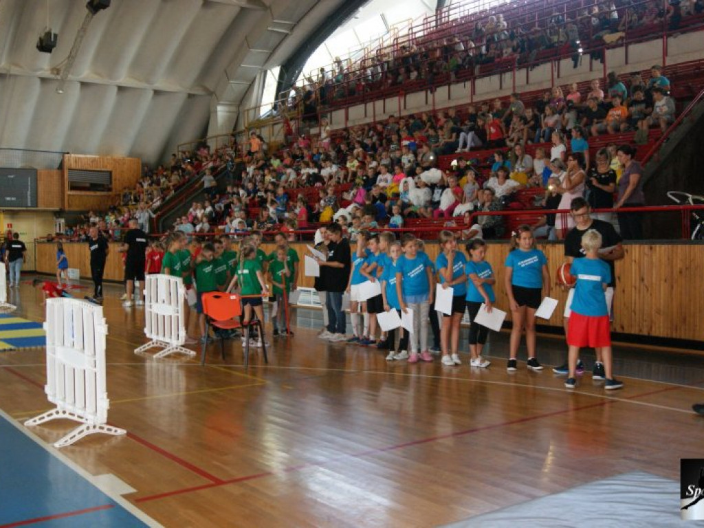 Stalowowolskie Dni Sportu 2019 [zdjęcia]