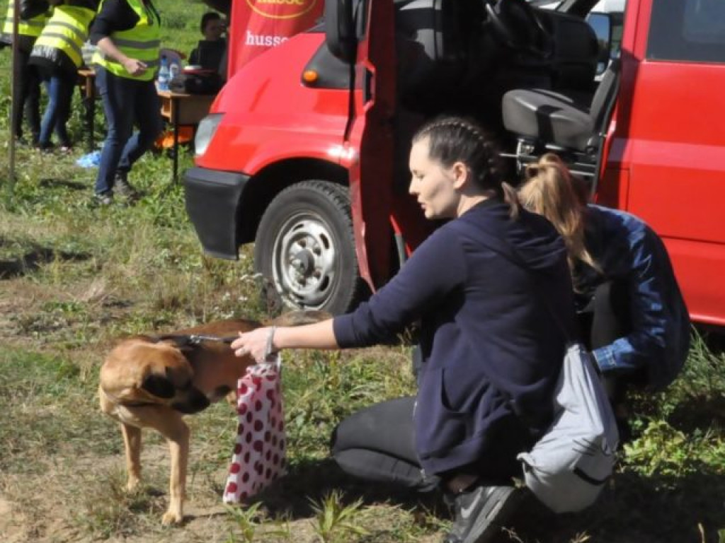 Pobiegli z pupilami [zdjęcia]