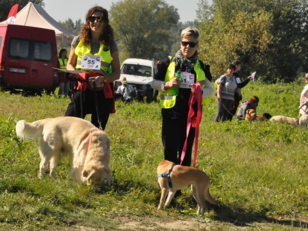 Pobiegli z pupilami [zdjęcia]