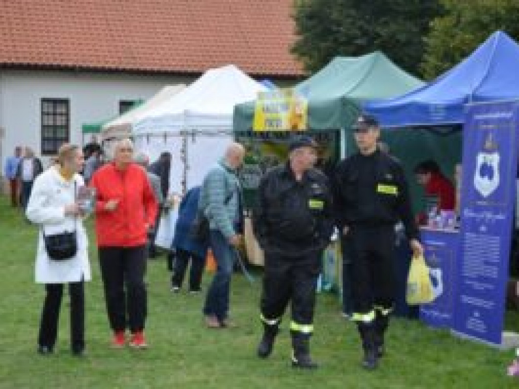 Leśna Apteka pełna skarbów natury (zdjęcia)