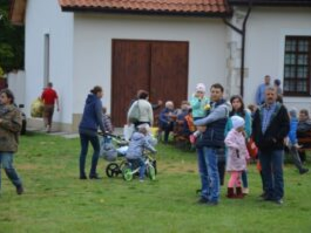 Leśna Apteka pełna skarbów natury (zdjęcia)