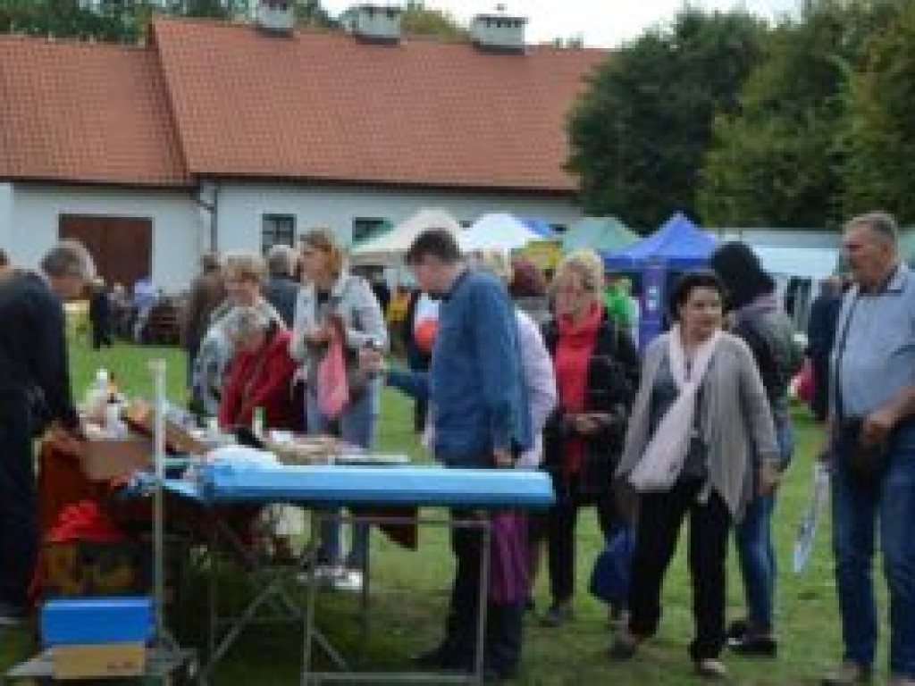 Leśna Apteka pełna skarbów natury (zdjęcia)