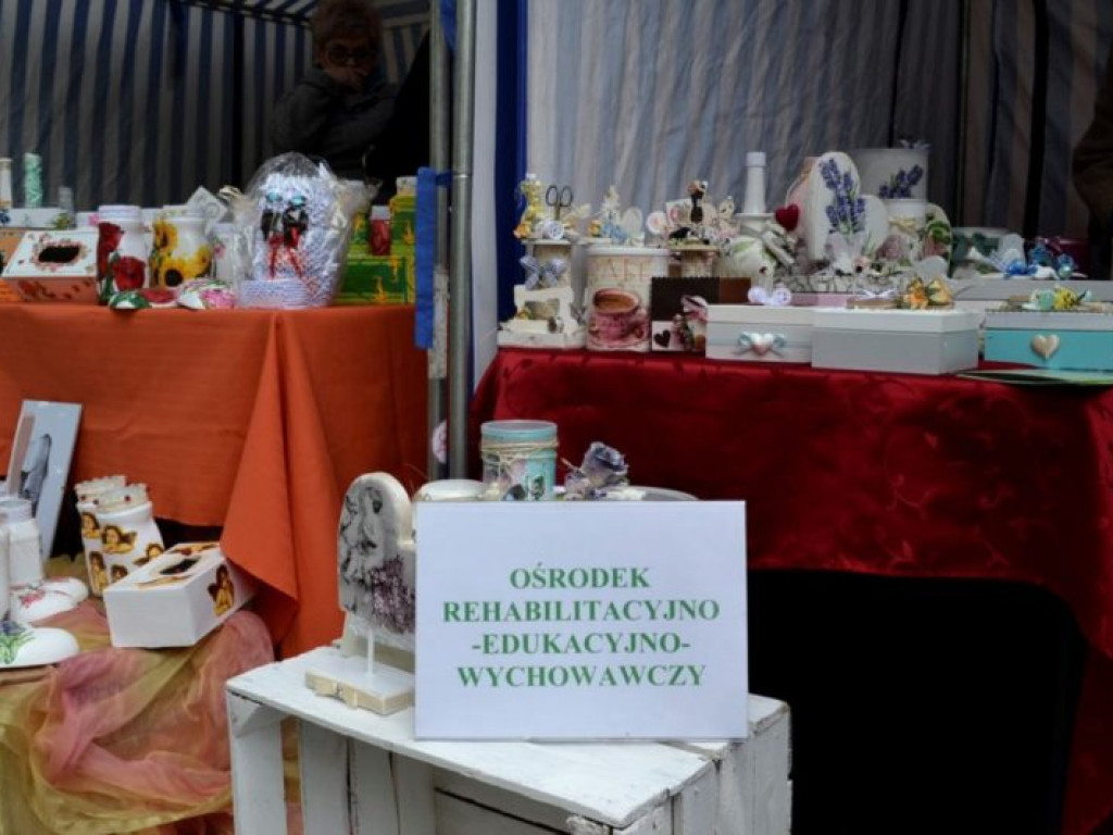 Charytatywny piknik w Tarnobrzegu [zdjęcia]