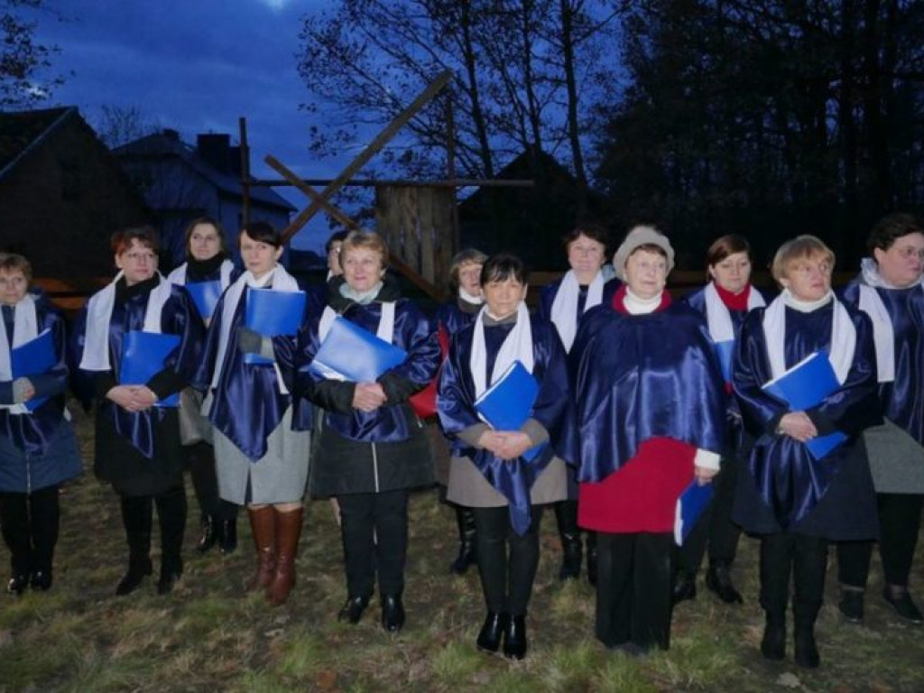VI Ognisko Patriotyczne, apel harcerski i mianowanie funkcyjnych w szczepie 