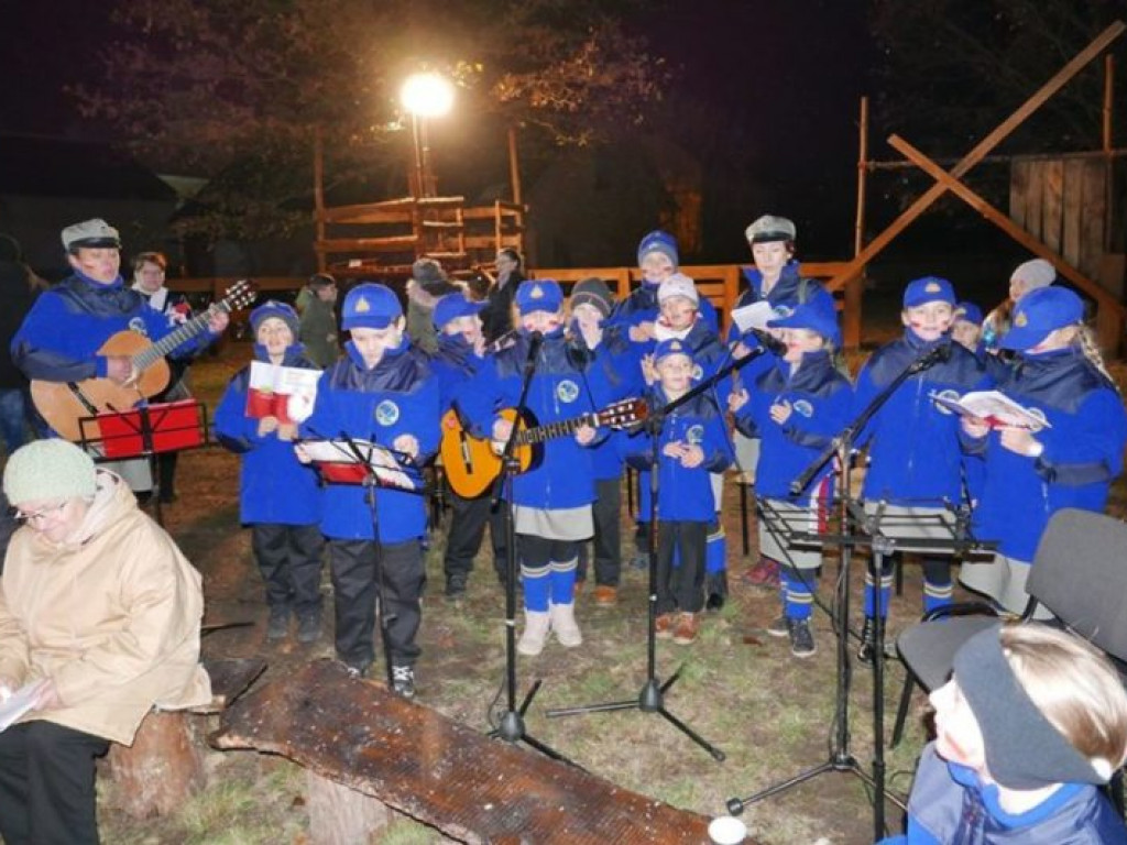 VI Ognisko Patriotyczne, apel harcerski i mianowanie funkcyjnych w szczepie 
