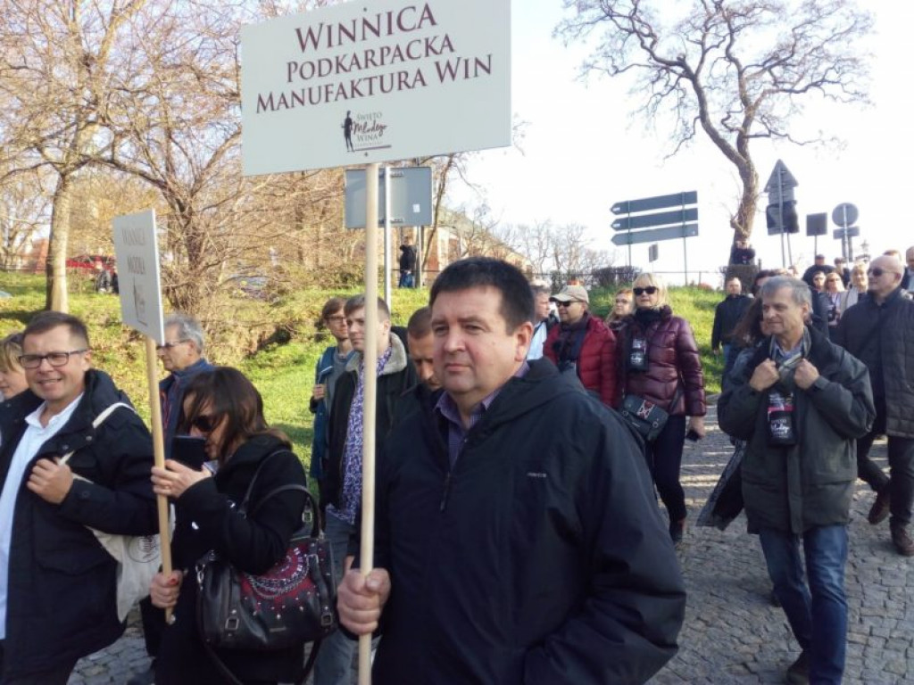W Sandomierzu trwa Święto Młodego Wina [ZDJĘCIA]