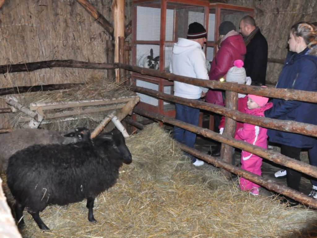 Żywa szopka już otwarta [zdjęcia]