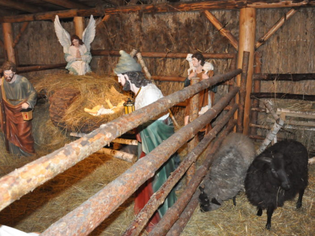 Żywa szopka już otwarta [zdjęcia]