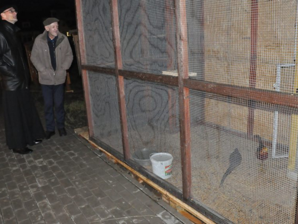 Żywa szopka już otwarta [zdjęcia]