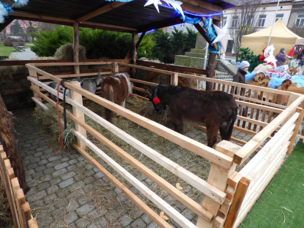 Opatowski kiermasz Bożonarodzeniowy [zdjęcia]