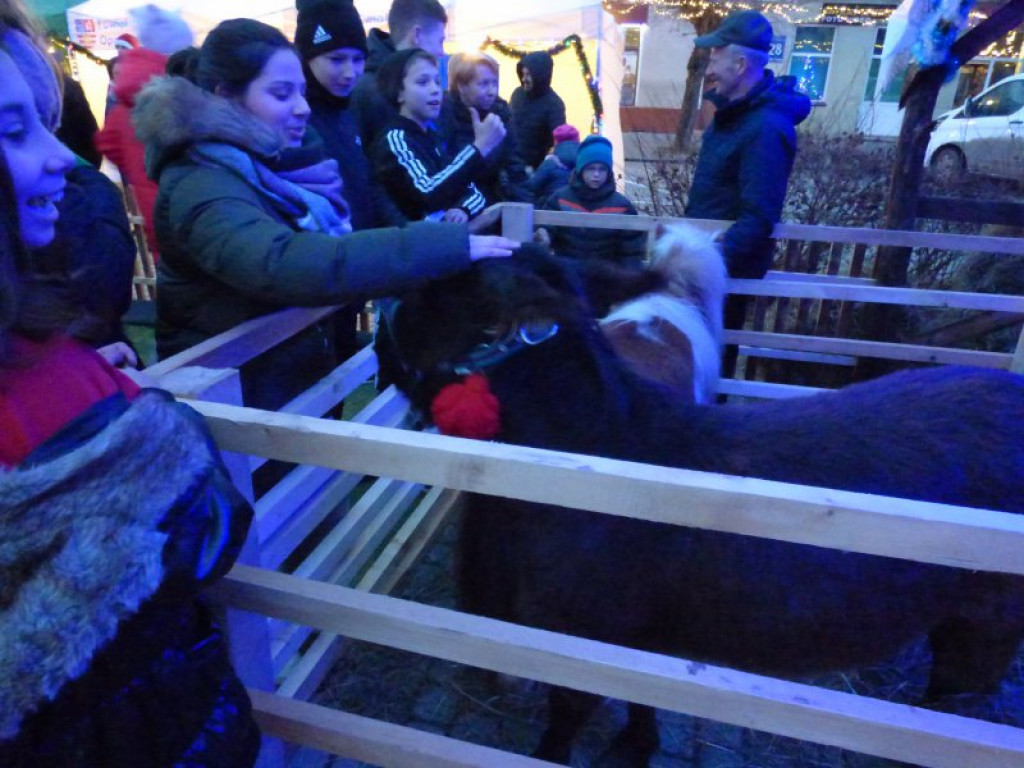 Opatowski kiermasz Bożonarodzeniowy [zdjęcia]