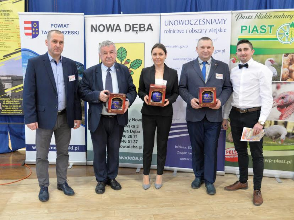 Wystawa Królików Wiedeńskich w Nowej Dębie. Tłumy zwiedzających, fantastyczne okazy! [zdjęcia]